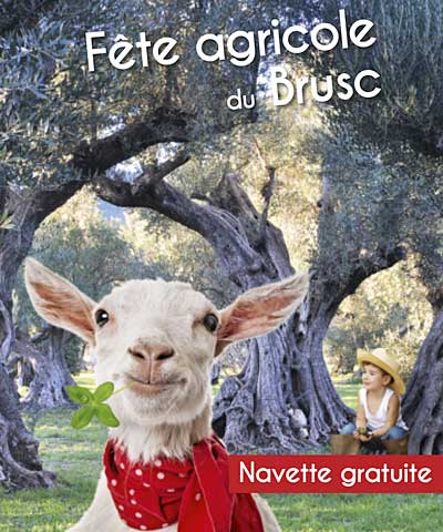 Fête agricole du Brusc