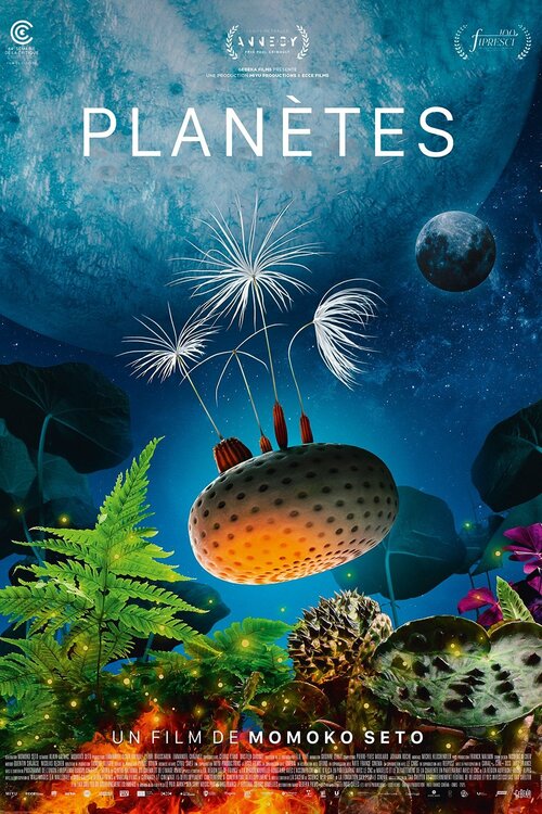 affiche